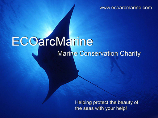 Marine Conservation