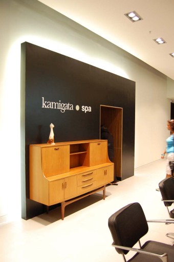 Kamigata Aveda Salon and Spa