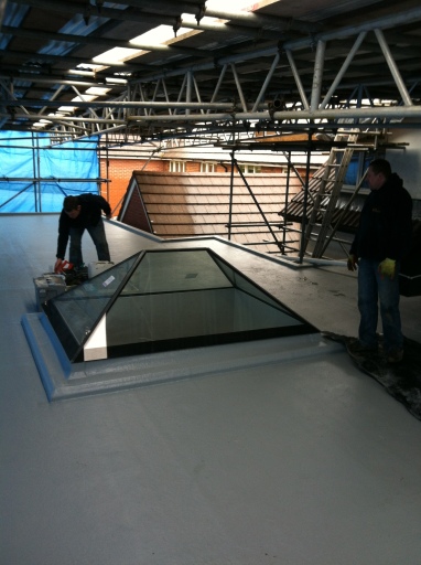 Fibre Glass Roof With Skylight