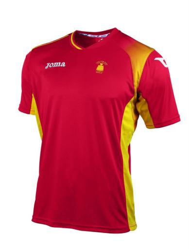 Joma Davis Cup Limited Edition Shirt