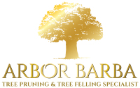 ARBOR BARBA Tree Services