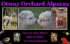 OTWAY ORCHARD ALPACAS