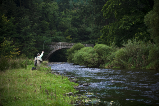 Fly fishing Scottish Borders