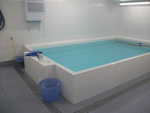 BESPOKE CANINE POOL