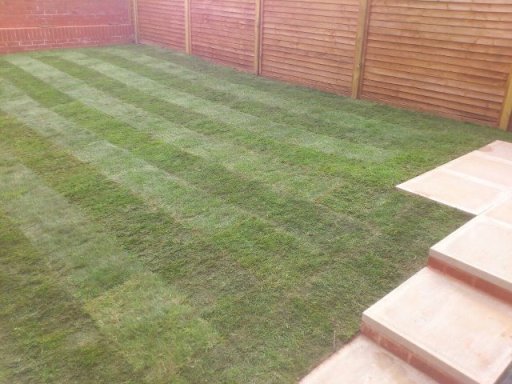 turfing job after the ground was weeded and prept