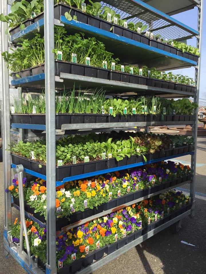 Brock Farms Home & Garden World 4189 US 9 North, Freehold, NJ, 07728