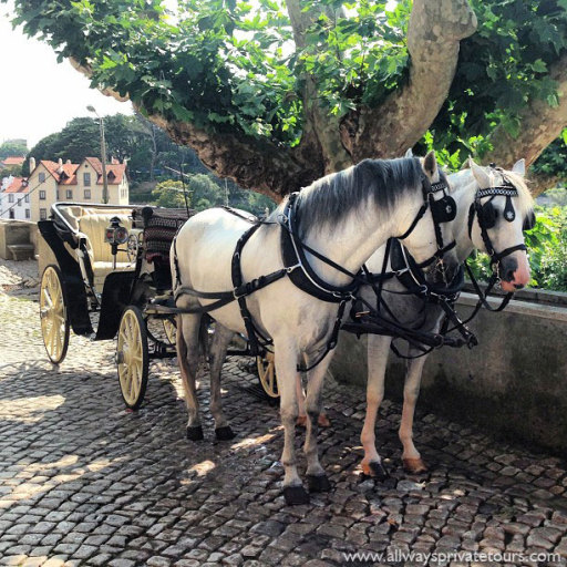 executive an d Touristic Drivers, Chauffeurs