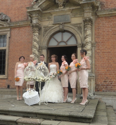 Wedding Doves at Tredegar House Newport