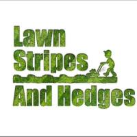 Lawn Stripes And Hedges - Garden Maintenance