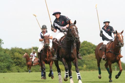 Learn to Play Polo Corporate day or cool team building day