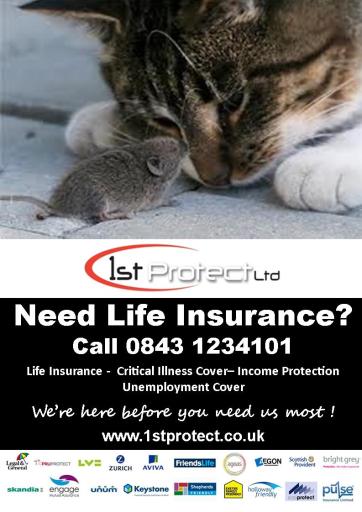 Need Life Insurance ?