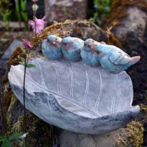 Bird Bath/Feeder