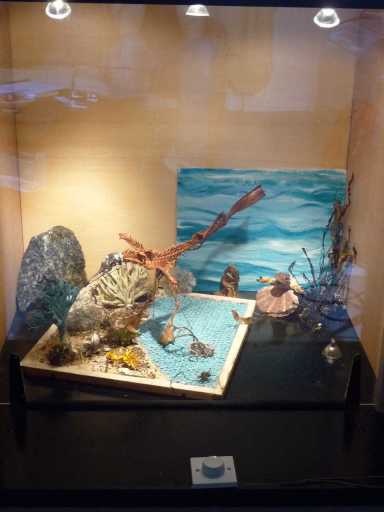 Birdish-- half Bird--half Fish