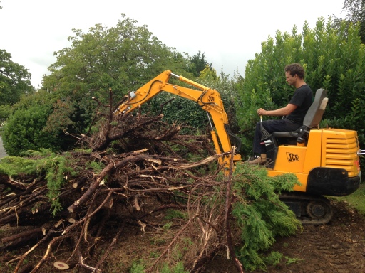 Conifer Root Removal in Ufford
