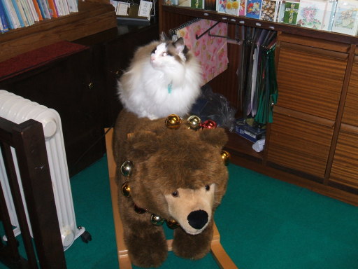 Kotek and Sir Perceval de Bear welcome you to the Sign of the Dove.