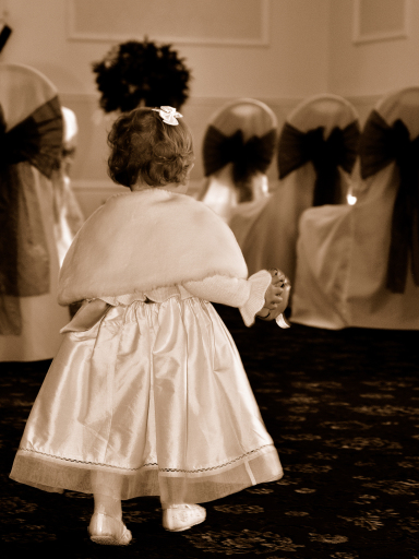 Wedding Photography Swansea Cardiff Carmarthen South Wales Budget Cheap Portrait Community Photograp