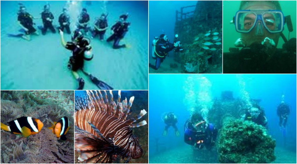 Scuba Diving Noosa Sunshine Coast 2 Parkyn Pde, Tewantin, QLD, 4565