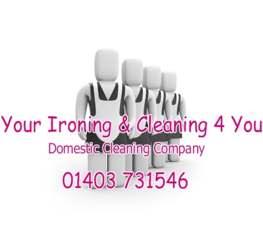 Horsham and Burgess Hill Domestic Cleaning Service