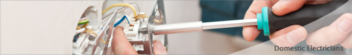 Domestic Electricians