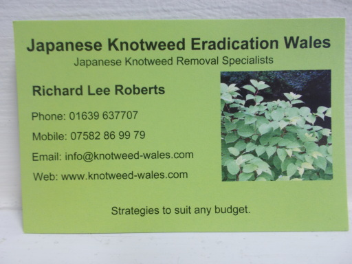 Japanese Knotweed Eradication Wales