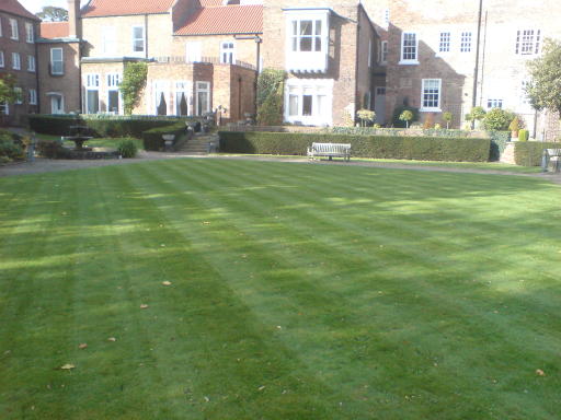 image1