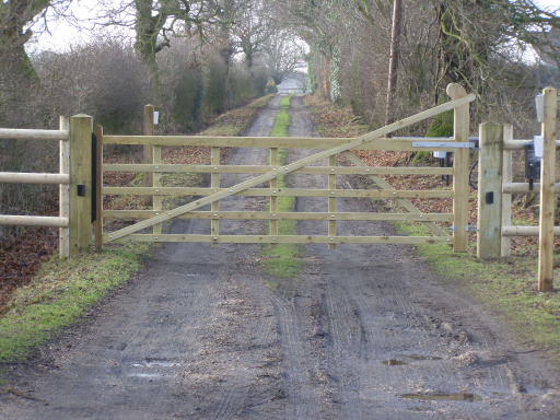 Wooden Gates or Metal Gates