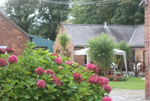Hollybank Care Home