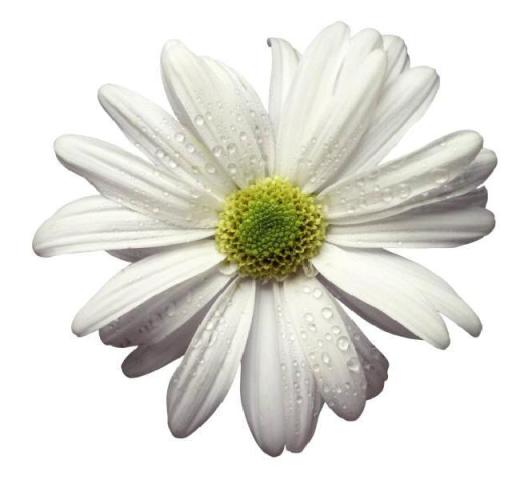 ALL Senses complementary healthcare &amp; beauty clinic in fife