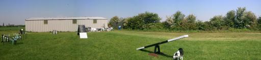 Clients field cut smooth and tidy