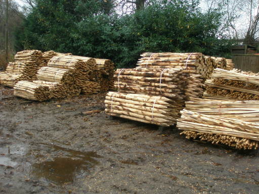 Chestnut Posts