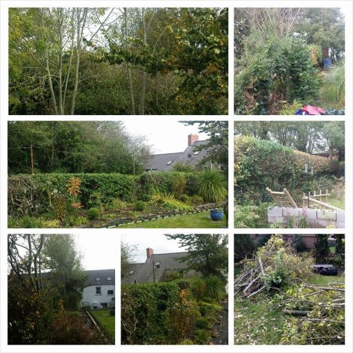Garden cutback and clearance