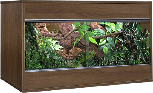 Example Vivarium reptile habitat