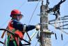 Lucerna Electrical