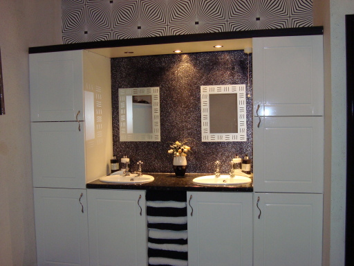 washroom with special effect paint