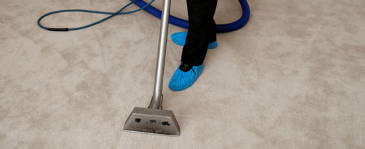 Professional Steam Carpet Cleaning in Cricklewood