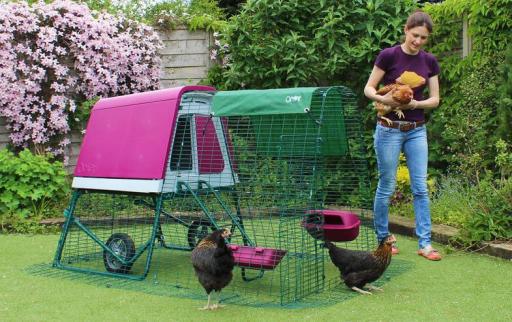 Omlet's Eglu Go Up - from Southmead Poultry