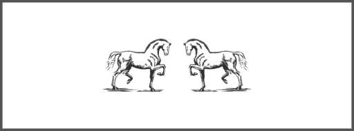 Equestrian Silver Ltd