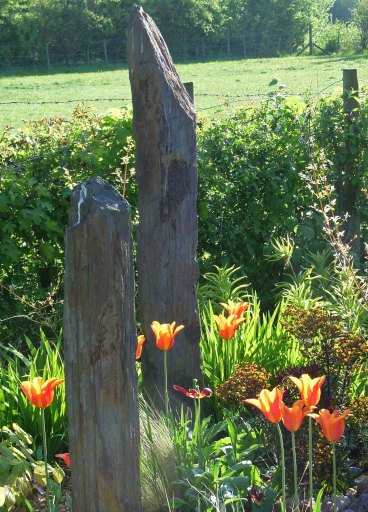 focal point in small front garden
