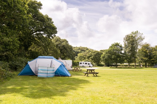 Pitches for tent, caravans and motorhomes 