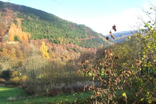 Halfway Nr Llandovery
