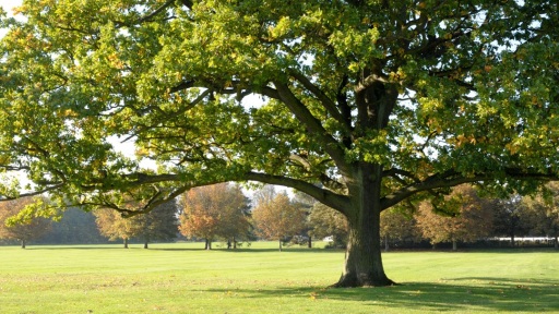 image0