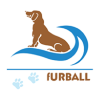 Furball Pet Products Logo