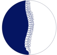 Sophie Chiropractic Clinic