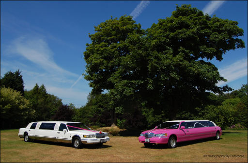 pink or white limousines hire