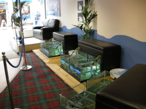 Feet Treat fish pedicure tanks
