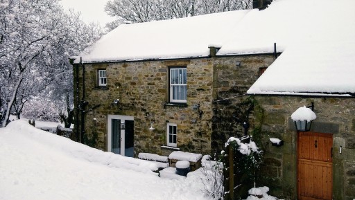 A snowy day 