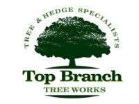 Top Branch Tree Works