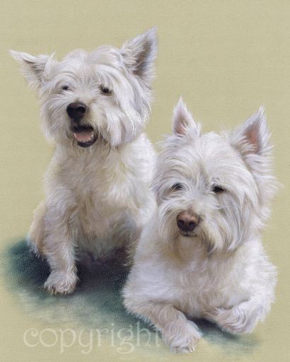 Mac and Molly - pet portrait