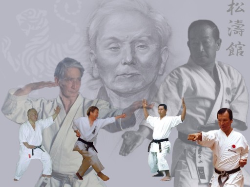 Shotokan Karate Masters
