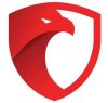 Nashkawi - Best Security Company Malaysia Logo